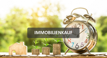 Immobilienkauf_neu